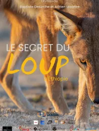 LE SECRET DU LOUP D ETHIOPIE