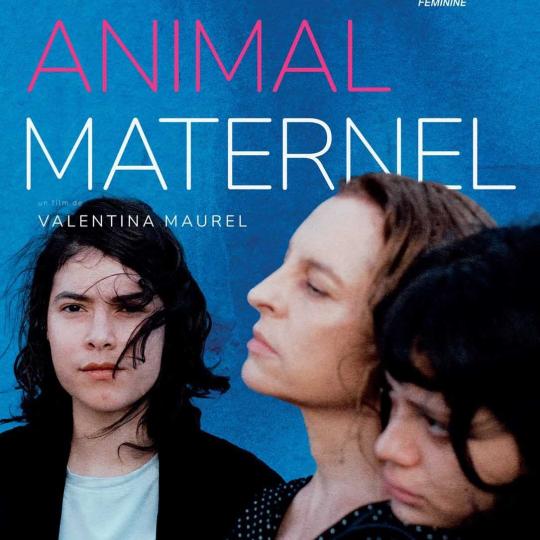 TON ANIMAL MATERNEL
